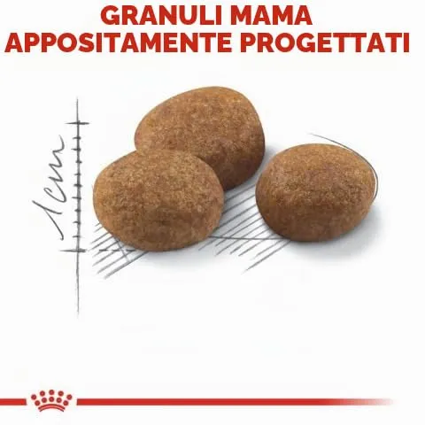 Royal Canin - C-584637 - Cibo Secco Per Gatti Sterilizzati +7, 3,5 Kg - immagine 2