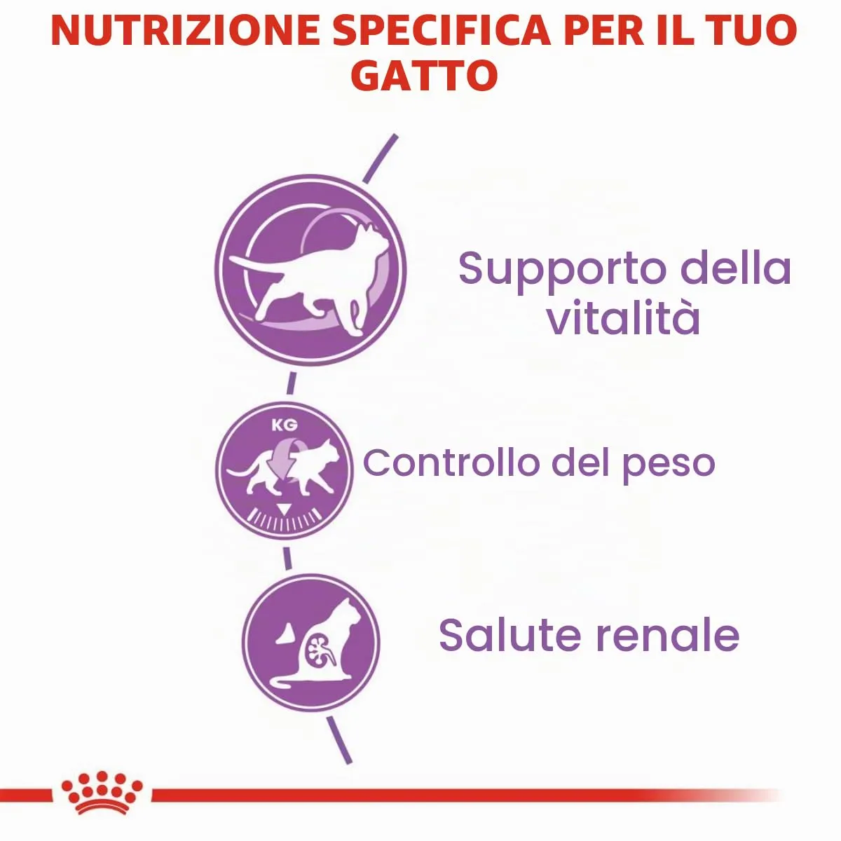 Royal Canin - C-584637 - Cibo Secco Per Gatti Sterilizzati +7, 3,5 Kg - immagine 4