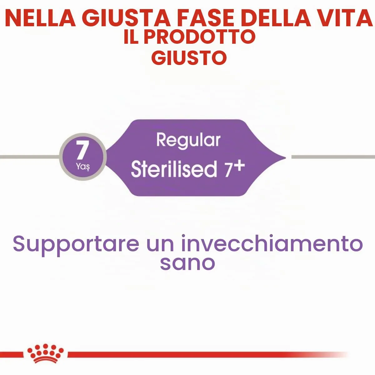 Royal Canin - C-584637 - Cibo Secco Per Gatti Sterilizzati +7, 3,5 Kg - immagine 5
