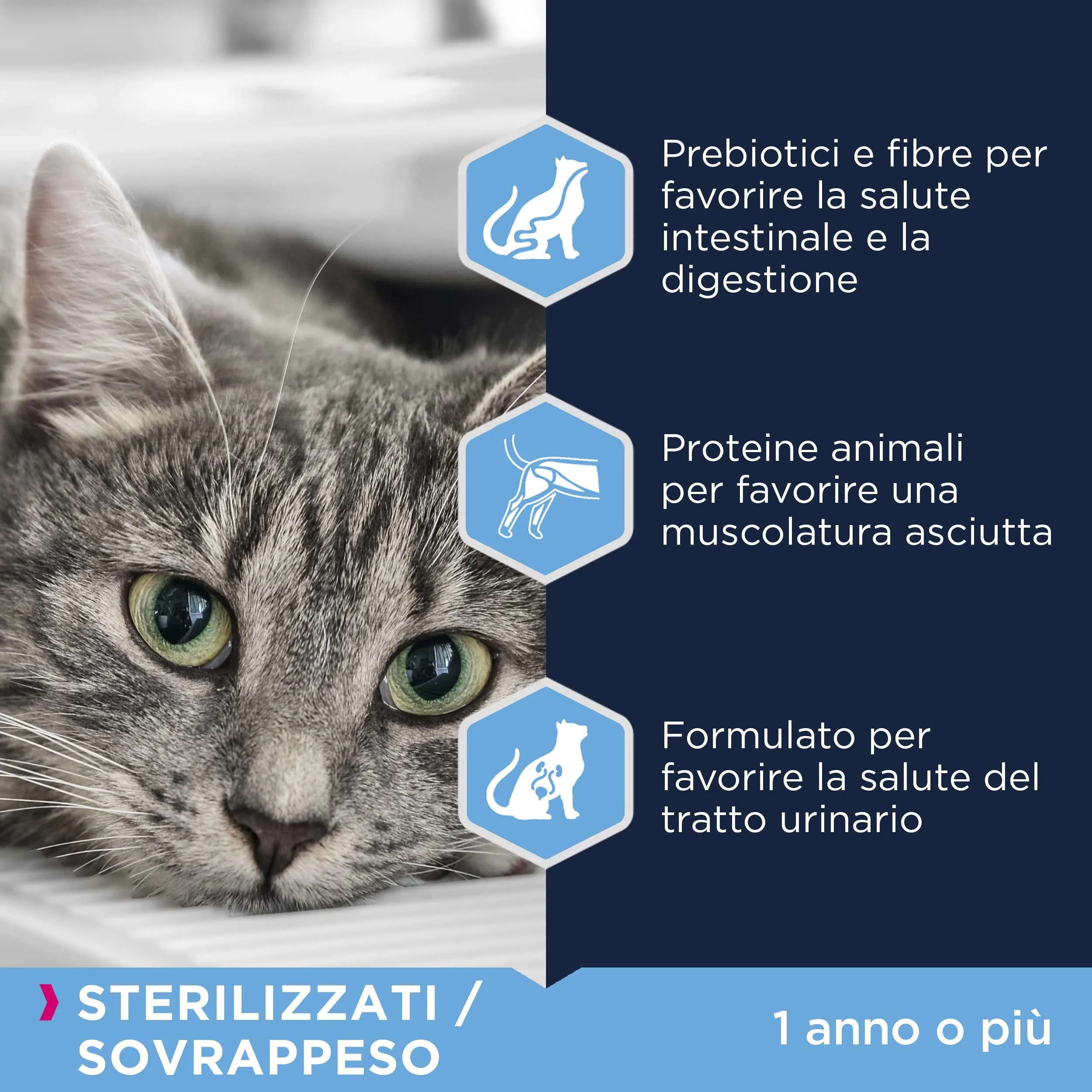 Eukanuba Sterilised/Weight Control - Crocchette per Gatti con Pollo, 10 kg - immagine 4