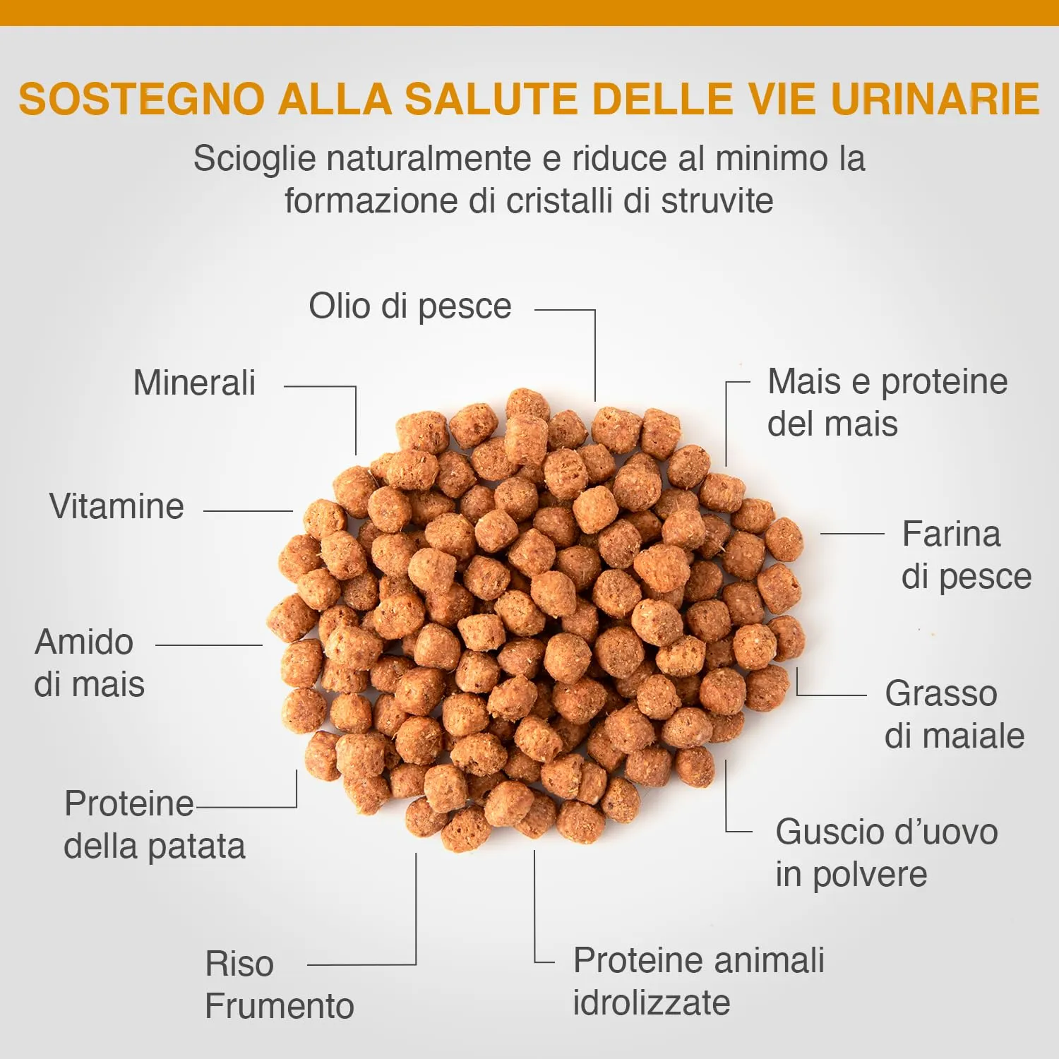 SPECIFIC® Crystal Management (FCD) 400 g - Cibo secco per gatti adulti - Favorisce la dissoluzione dei calcoli di struvite - Ridotto contenuto di minerali - DECHRA Veterinary Products - immagine 3