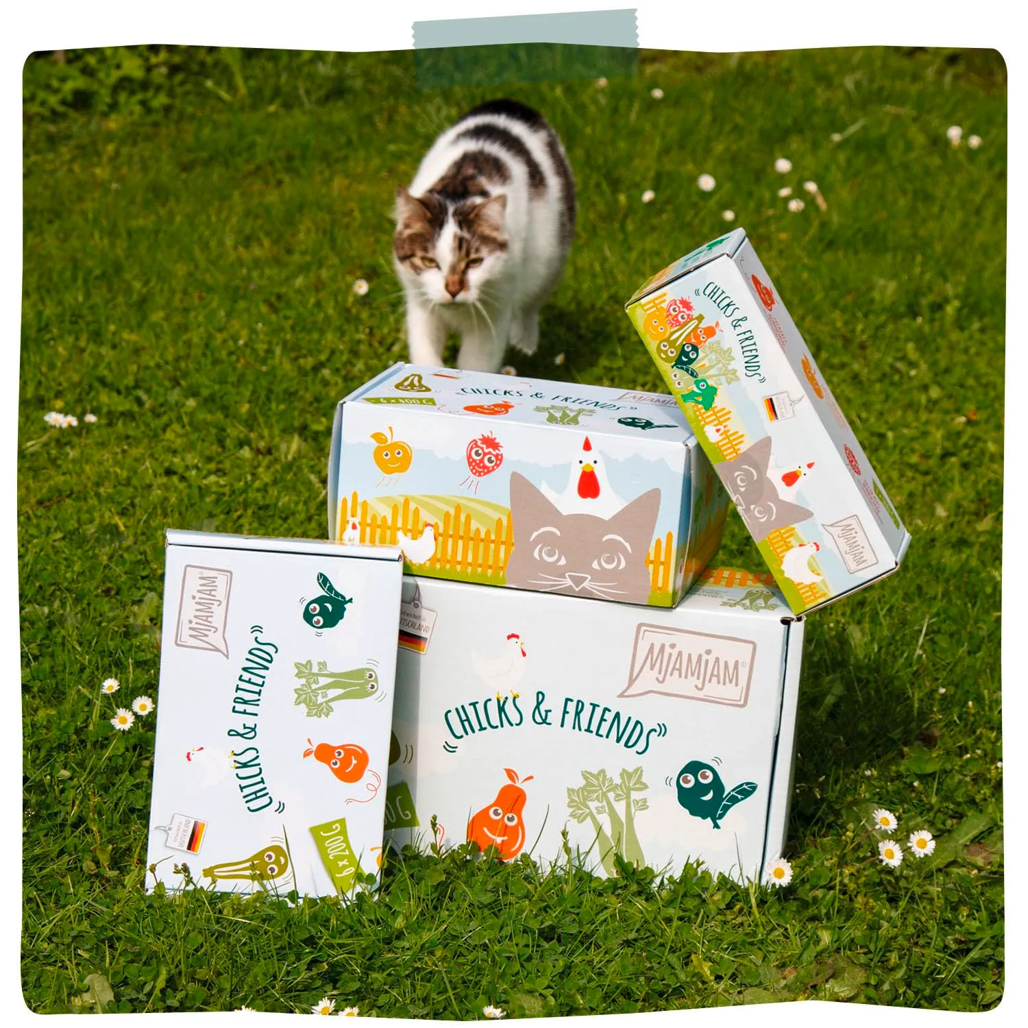 MjAMjAM - Cibo umido premium per gatti - Chicks & Friends Box, confezione da 6 (6 x 200g), senza cereali con carne extra - immagine 7