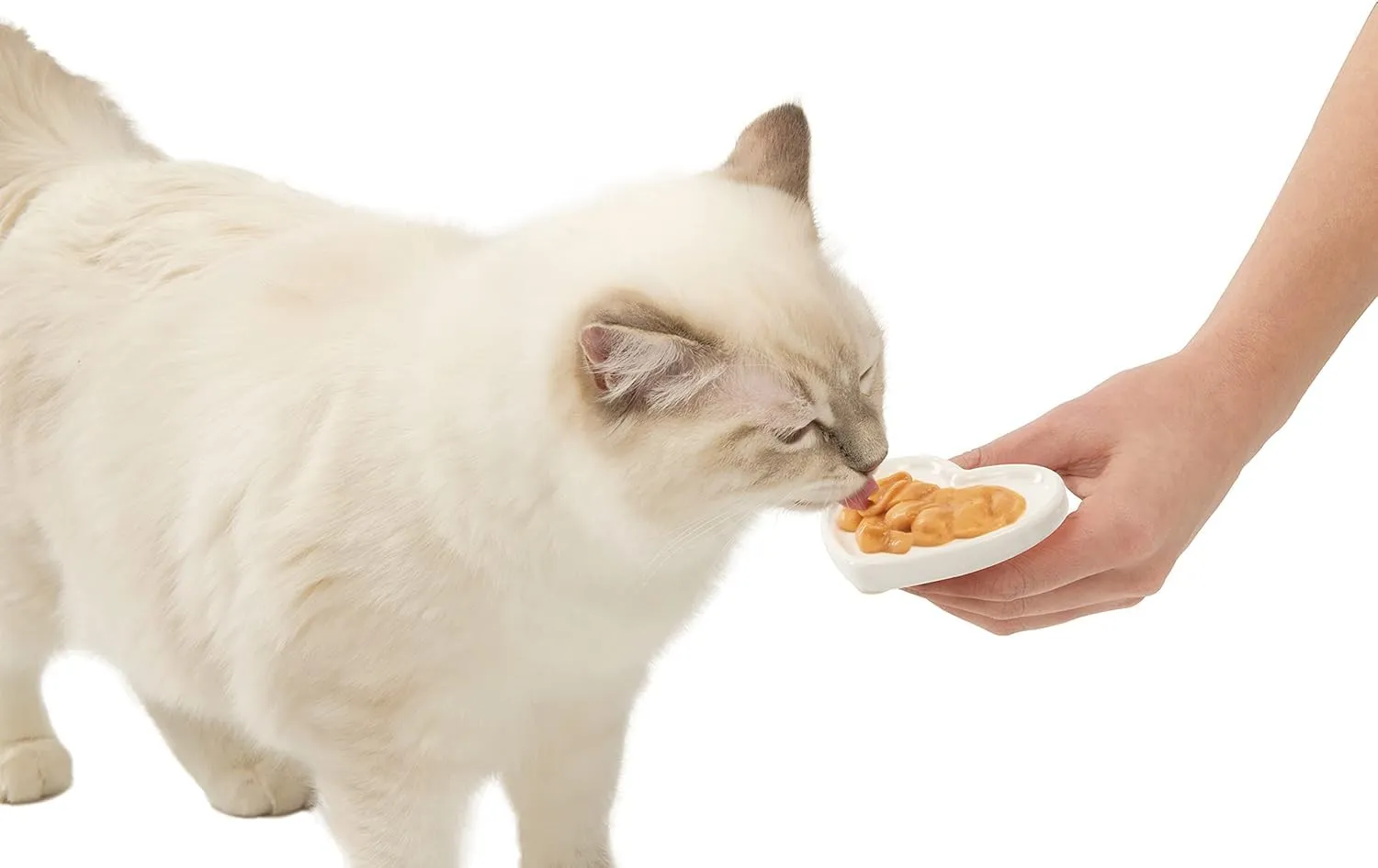 Catit Creamy Delizia per gatti, confezione da 4, pollo - immagine 3