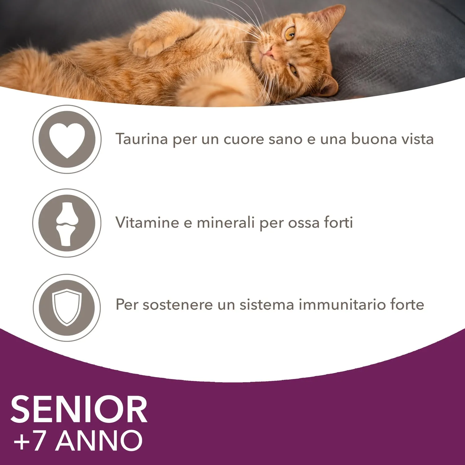 IAMS Delights Senior - Cibo umido per gatti con pollo e pesce, 12 x 85 g - immagine 4
