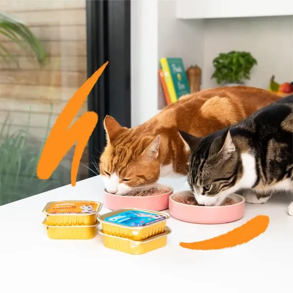 Edgard & Cooper cibo umido per gatti, (Agnello/Pollo Fresco, 85g x 16), pate gatto sterilizzati o attivo, carne fresca e ingredienti naturali, senza cereali, senza zuccheri aggiunti - immagine 2