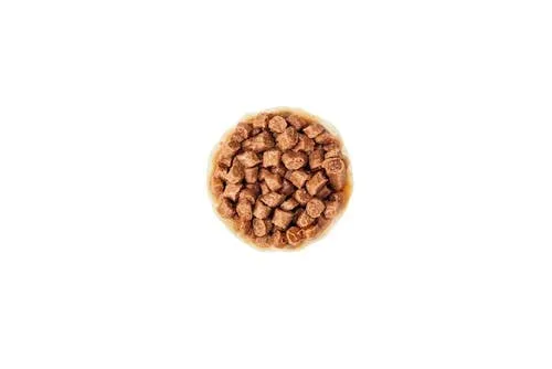 Royal Canin Kitten cibo umido | Confezione da 4 | 4 x 12 x 85 g | Pezzi fini in salsa | Alimento completo per gattini| Specifico per gattini dalla seconda fase di crescita fino a 12 mesi di età - immagine 5