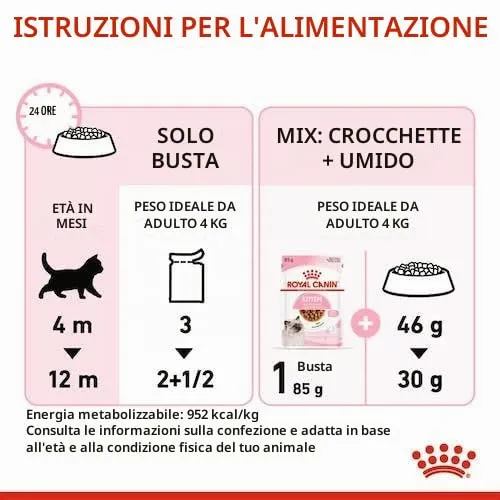 Royal Canin Kitten cibo umido | Confezione da 4 | 4 x 12 x 85 g | Pezzi fini in salsa | Alimento completo per gattini| Specifico per gattini dalla seconda fase di crescita fino a 12 mesi di età - immagine 6
