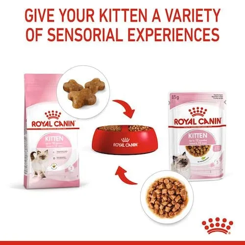 Royal Canin Kitten cibo umido | Confezione da 4 | 4 x 12 x 85 g | Pezzi fini in salsa | Alimento completo per gattini| Specifico per gattini dalla seconda fase di crescita fino a 12 mesi di età - immagine 9