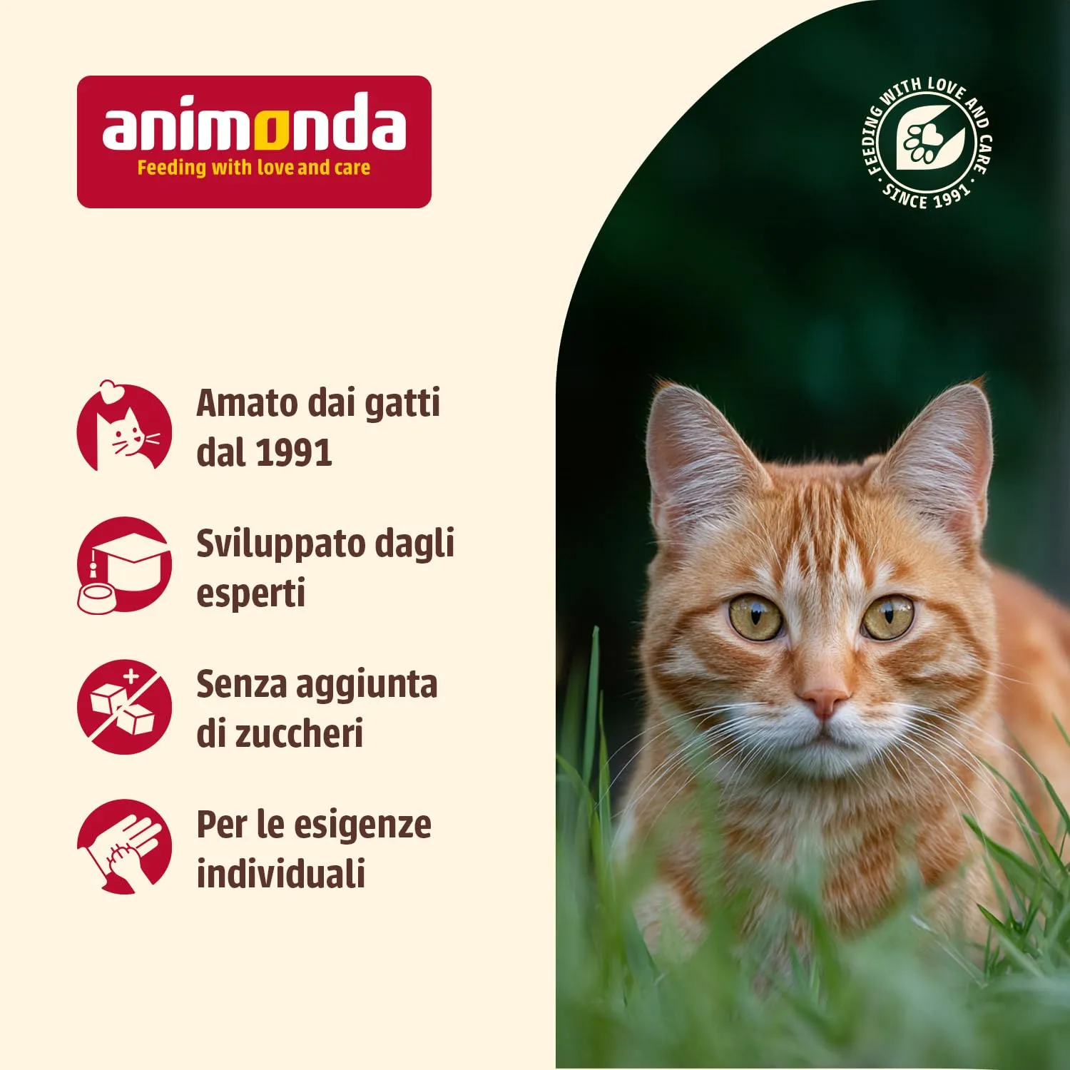 animonda Carny Kitten, cibo umido per gatti, Vitello, Pollame + Tacchino 12 x 400 g - immagine 3