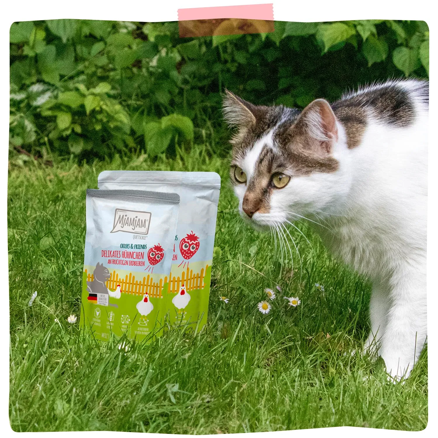MjAMjAM - Cibo umido premium per gatti - Quetschie - Chicks & Friends pollo delicato con fragole fruttate, confezione da 12 (12 x 125g), senza cereali - immagine 7