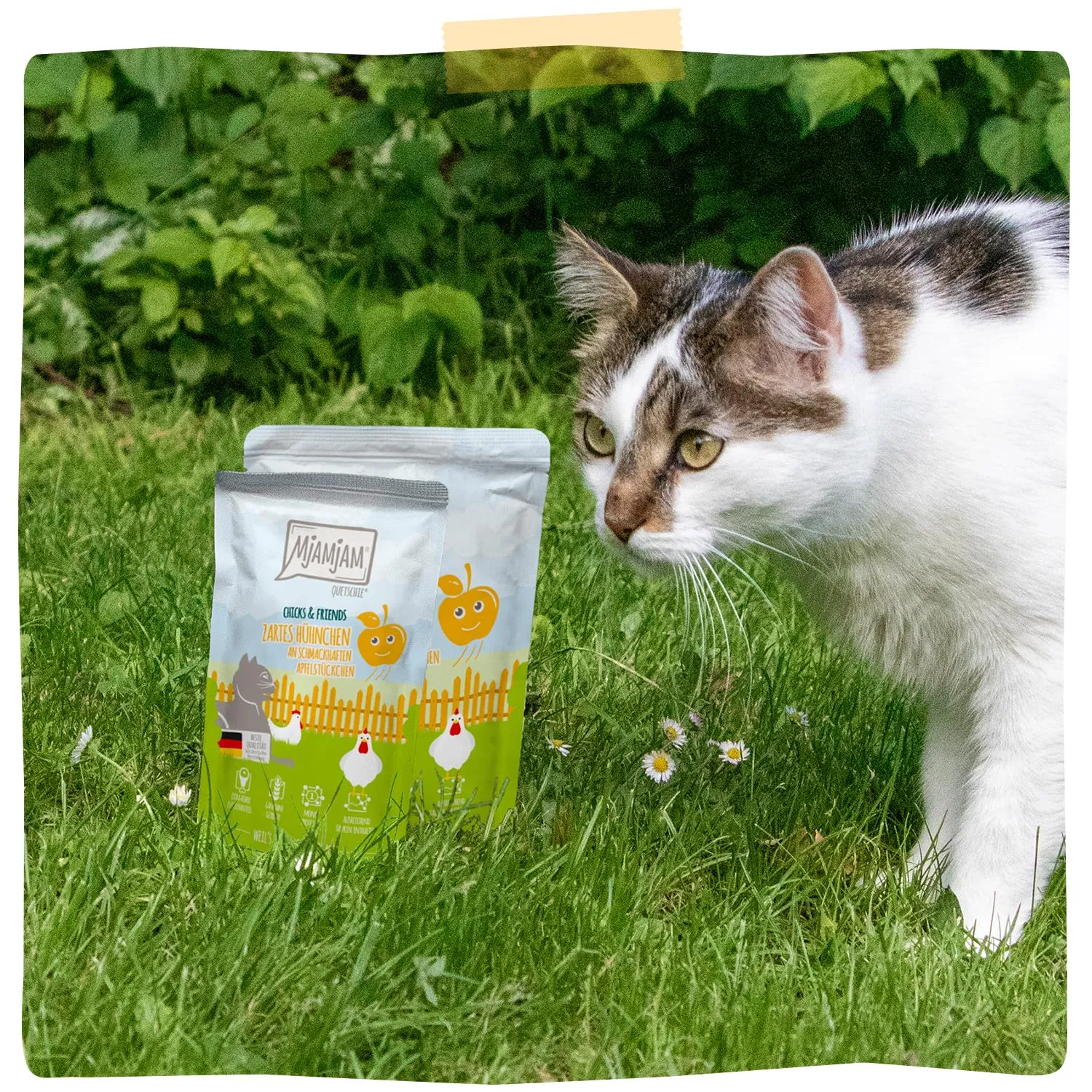 MjAMjAM - Cibo umido premium per gatti - Quetschie - Chicks & Friends tenero pollo con gustosi pezzi di mela, confezione da 12 (12 x 125g), senza cereali - immagine 7