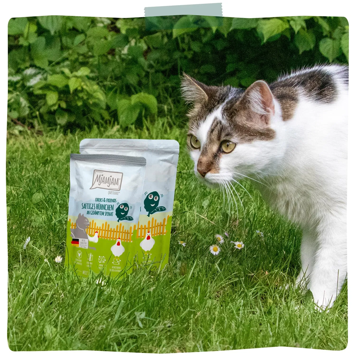 MjAMjAM - Cibo umido premium per gatti - Quetschie - Chicks & Friends pollo succoso con spinaci al vapore, confezione da 12 (12 x 125g), senza cereali - immagine 6