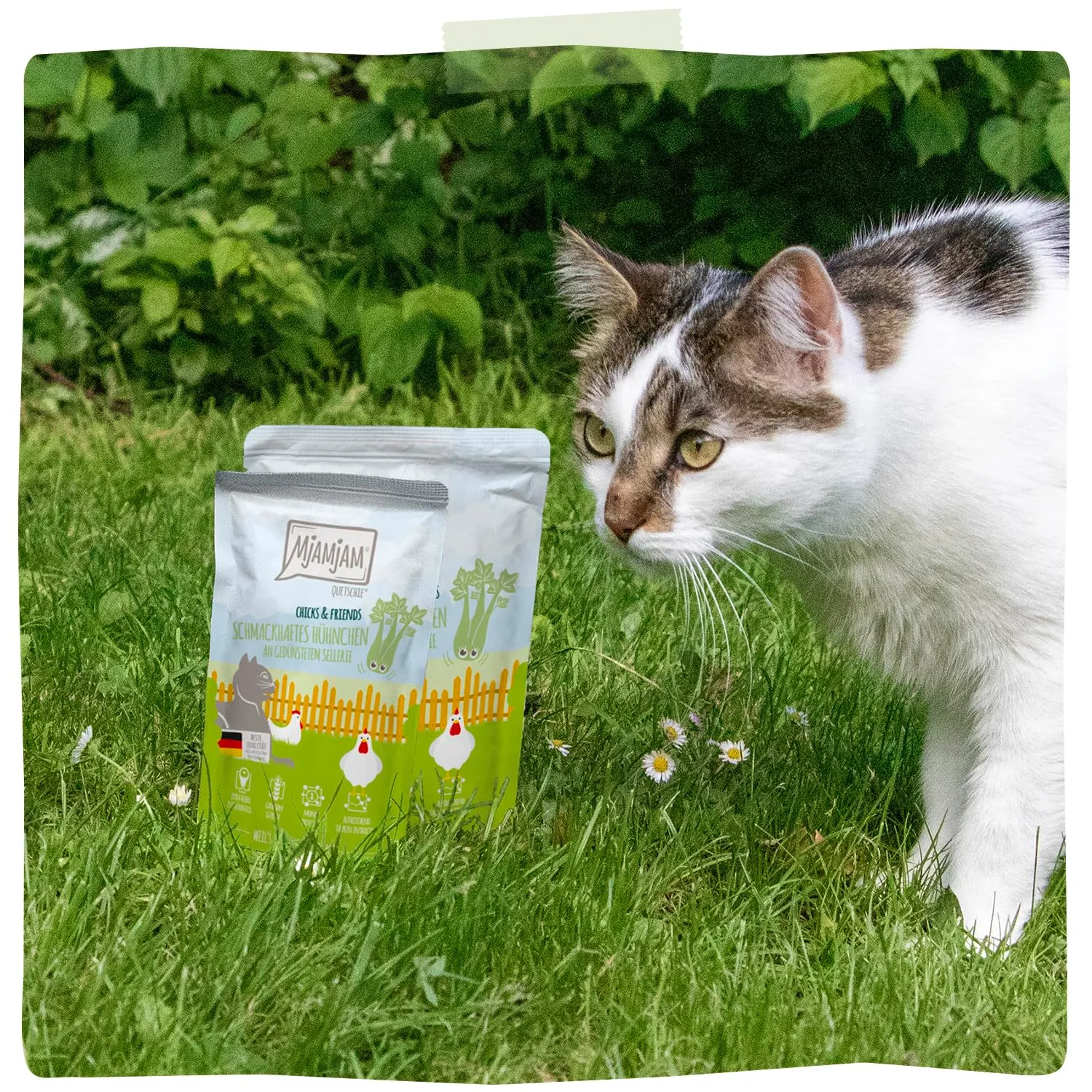 MjAMjAM - Cibo umido Premium per gatti - Quetschie - Chicks & Friends gustoso pollo con sedano rapa al vapore, confezione da 12 (12 x 125g), senza cereali - immagine 7