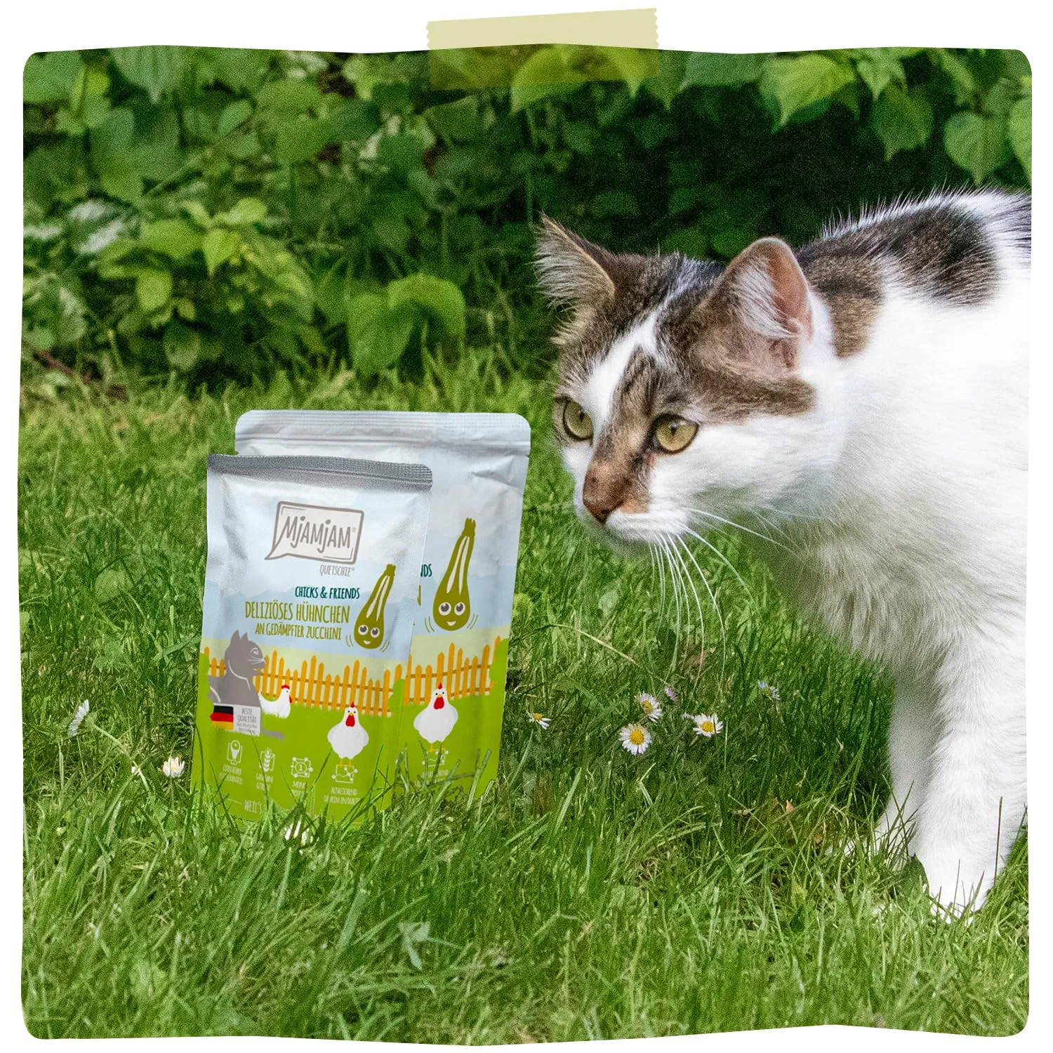 MjAMjAM - Cibo umido Premium per gatti - Quetschie - Chicks & Friends delizioso pollo con zucchine al vapore, confezione da 12 (12 x 125g), senza cereali - immagine 6