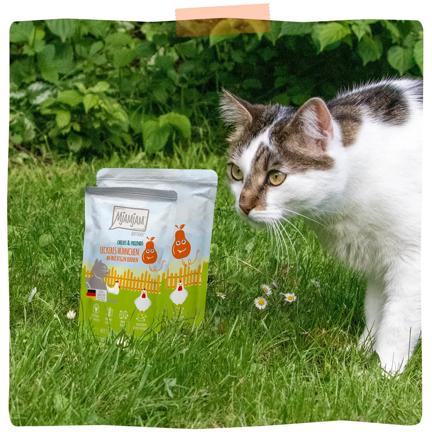 MjAMjAM - Cibo umido premium per gatti - Quetschie - Chicks & Friends delizioso pollo con pere fruttate, confezione da 12 (12 x 125g), senza cereali - immagine 6