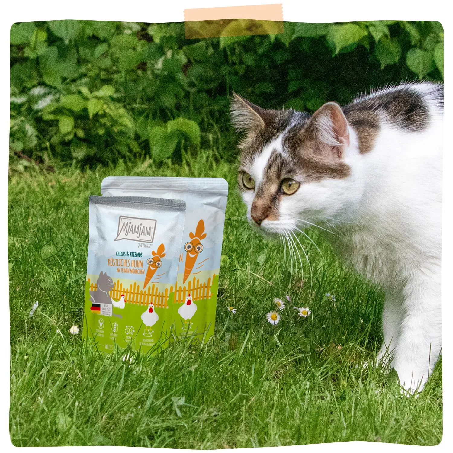MjAMjAM - Cibo umido premium per gatti - Quetschie - Chicks & Friends delizioso pollo con carote fini, confezione da 12 (12 x 125g), senza cereali - immagine 7