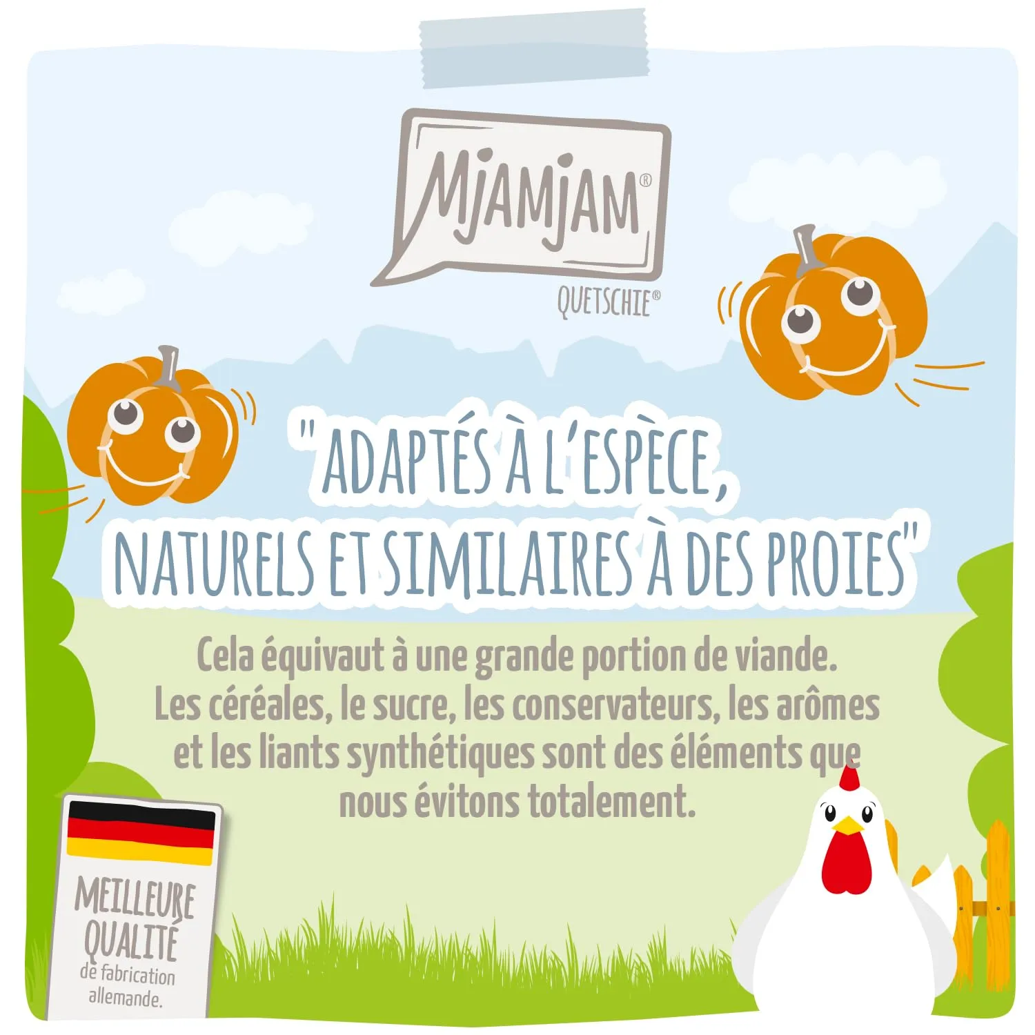 MjAMjAM - Cibo umido premium per gatti - Quetschie - Chicks & Friends favoloso pollo con zucca al vapore, confezione da 12 (12 x 125g), senza cereali - immagine 2