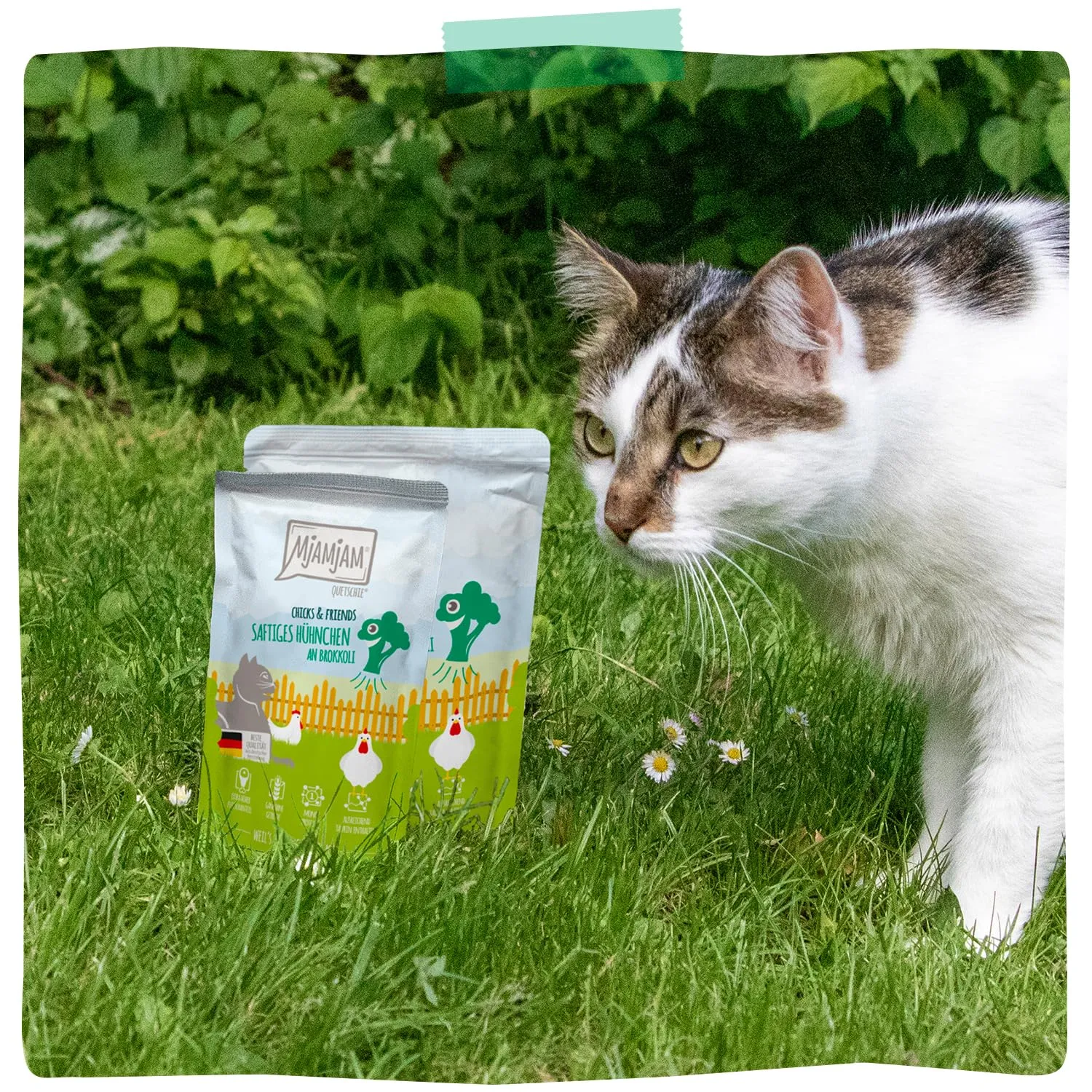 MjAMjAM - Cibo umido premium per gatti - Quetschie - Chicks & Friends pollo succoso con broccoli, confezione da 12 (12 x 125g), senza cereali - immagine 6