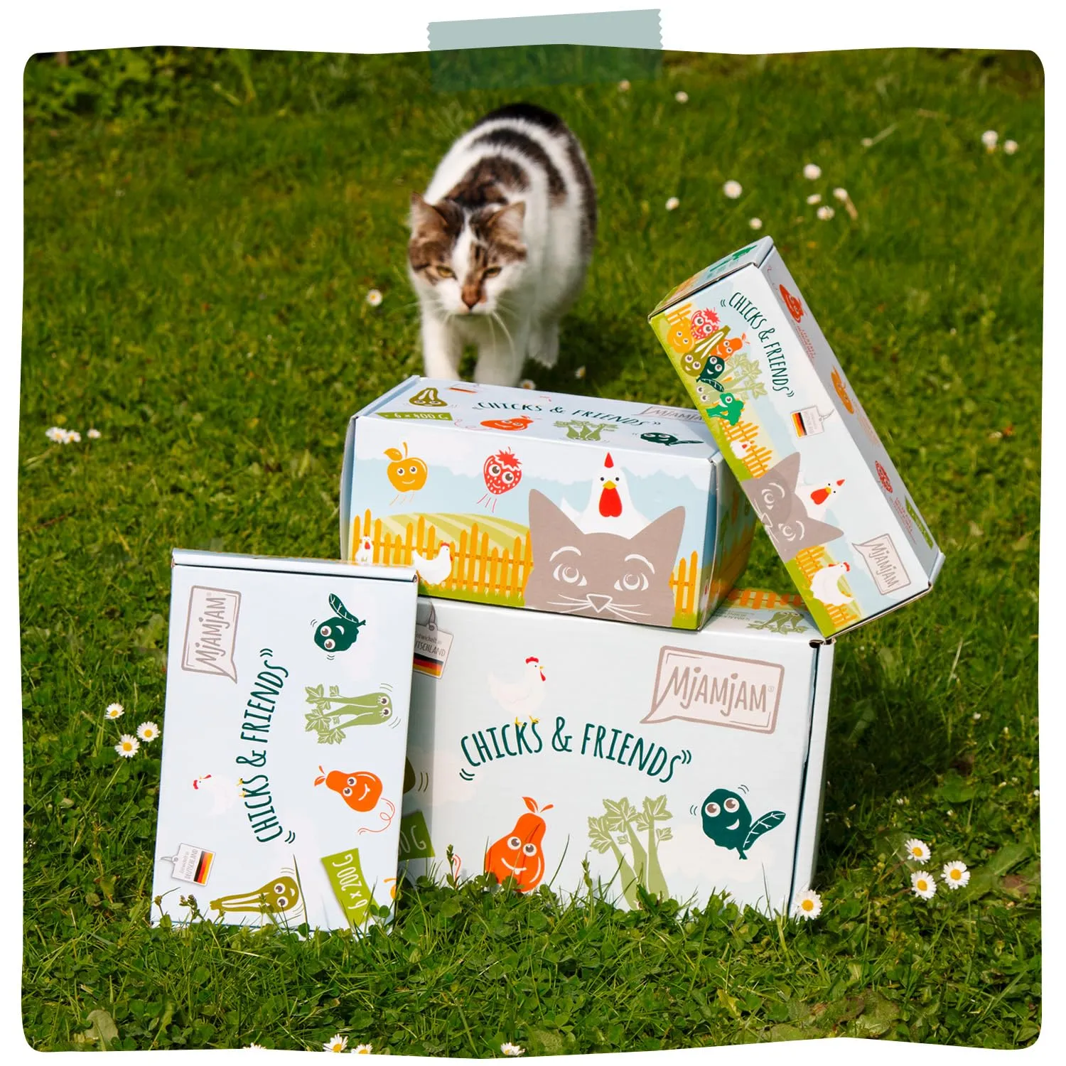 MjAMjAM - Cibo umido premium per gatti - Chicks & Friends Box, confezione da 12 (12 x 125 g), senza cereali con carne extra - immagine 7