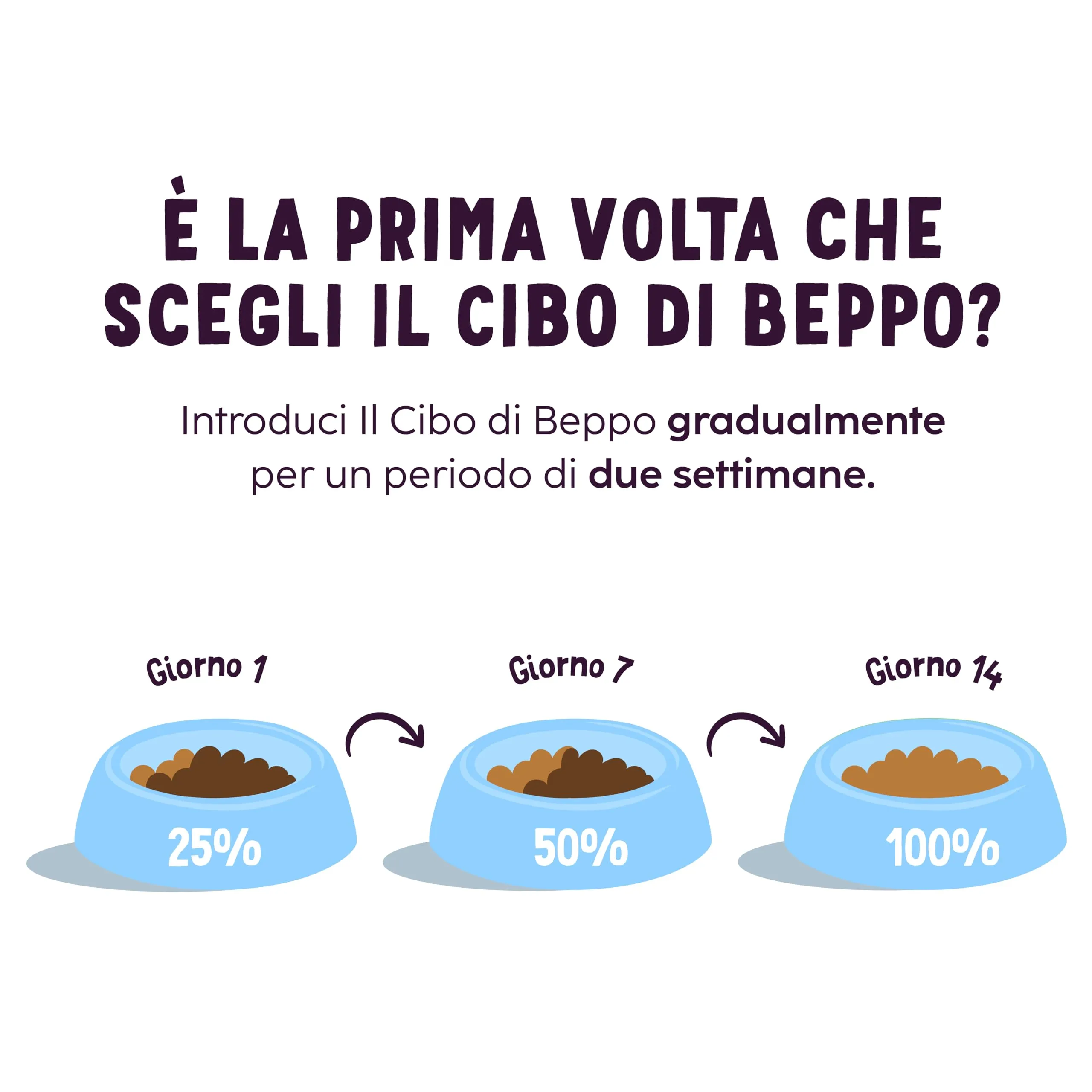 Il Cibo di Beppo Umido Macinato per Gatti Sterilizzati - 12 Lattine da 85g - Alimento Completo di Alta Qualità (12 lattine da 85g, Paté - Pesce e Zucca) - immagine 5