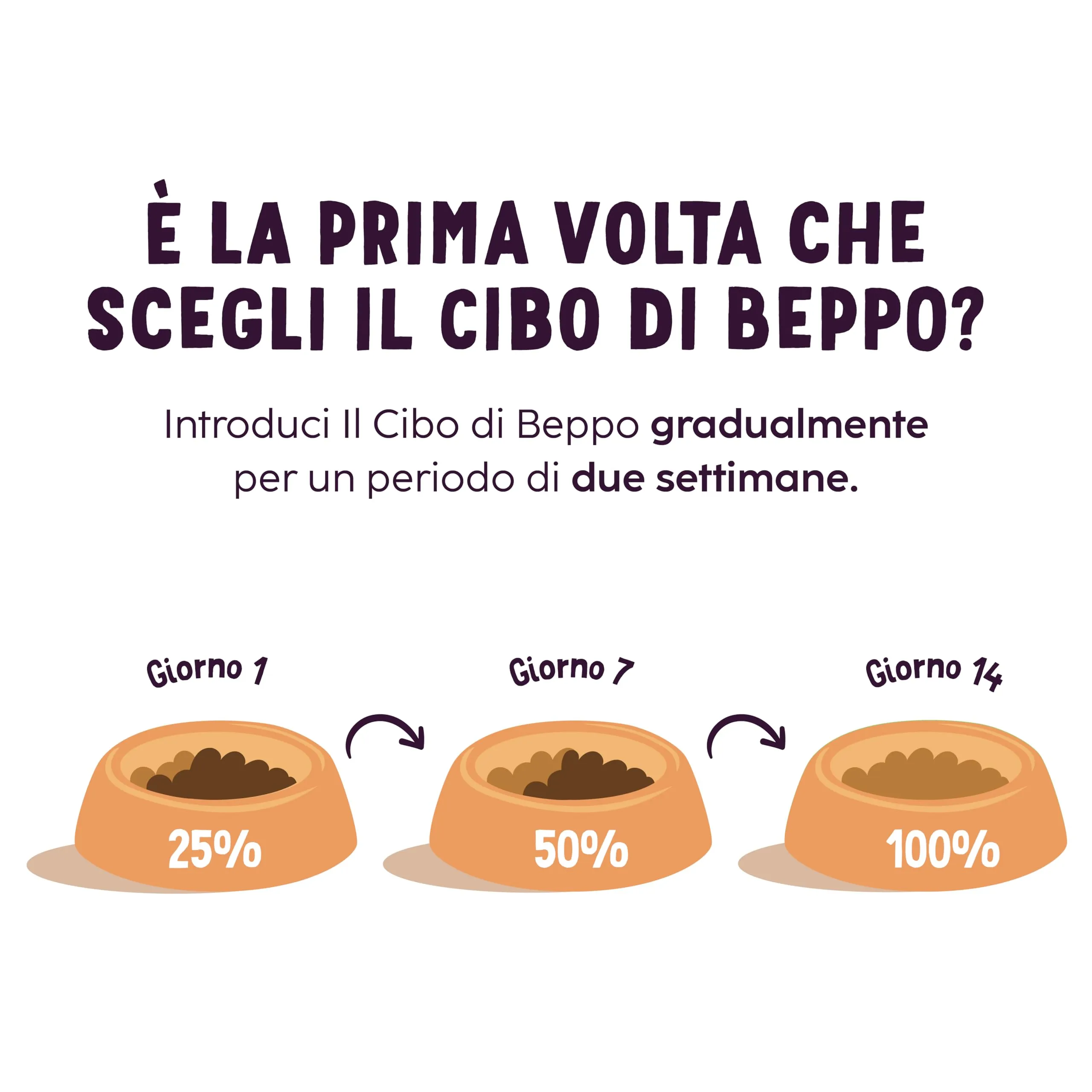 Il Cibo di Beppo Umido Paté per Gatti Sterilizzati - 12 Lattine da 85g - Alimento Completo di Alta Qualità (12 lattine da 85g, Paté - Pollo e Zucca) - immagine 6