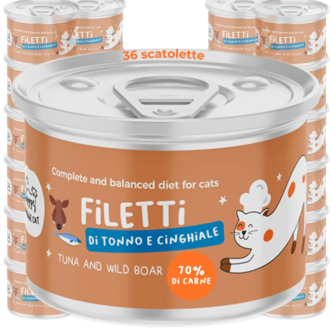 Hygge Cat Filetti di Tonno e Cinghiale 70% | Cibo Umido per Gatti Adulti Grain Free, Senza Cereali | Scatolette Gatto 36 x 70 g in Brodo | con Omega 3 e Taurina | Made in Italy - immagine 1