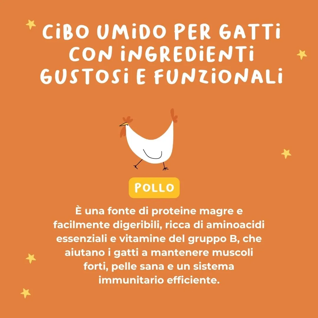 Hygge Cat Filetti di Pollo 70% | Cibo Umido per Gatti Adulti Grain Free, Senza Cereali | Scatolette Gatto 18 x 70 g in Brodo | Monoproteico, con Omega 3 e Taurina | Made in Italy - immagine 3