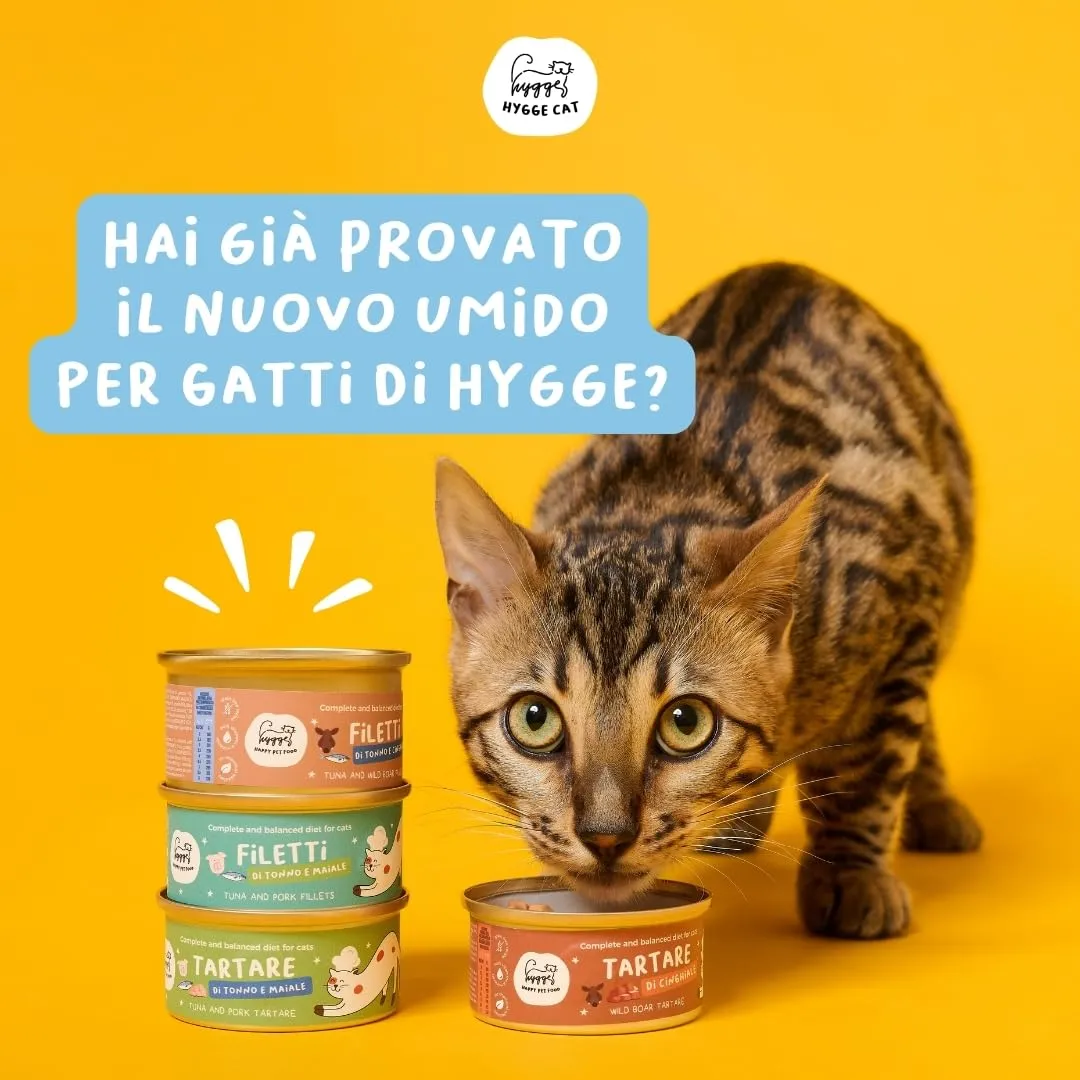 Hygge Cat Filetti di Tonno e Pollo 70% | Cibo Umido per Gatti Adulti Grain Free, Senza Cereali | Scatolette Gatto 36 x 70 g in Brodo | con Omega 3 e Taurina | Made in Italy - immagine 6