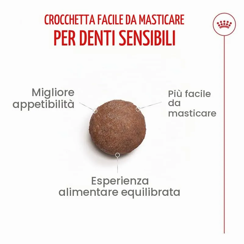 Ageing 15+ | Crocchette per gatti senior | 2 x 400 g | EPA & DHA - immagine 4