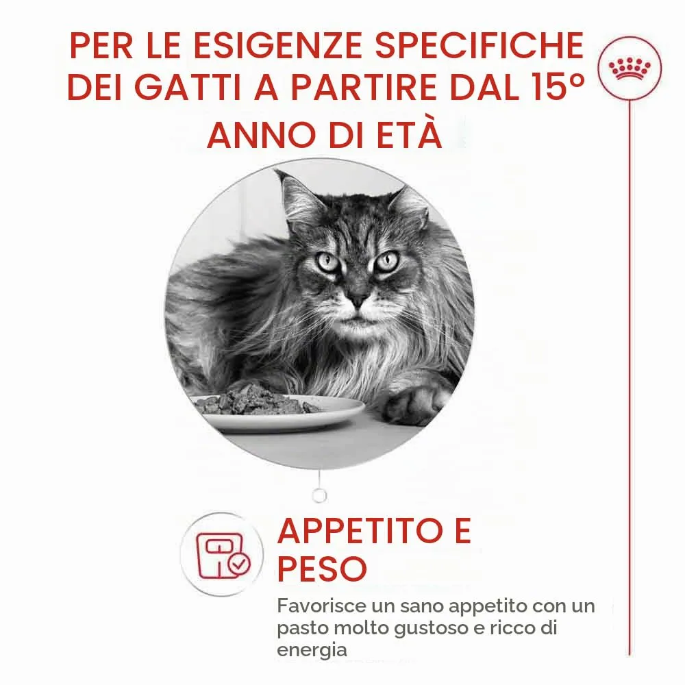 ROYAL CANIN AGEING 15+ | 4 kg | Alimento secco per gatti senior a partire da 15 anni | Formula con il complesso HealthyAge7™ | Contiene crocchette facili da masticare - immagine 2