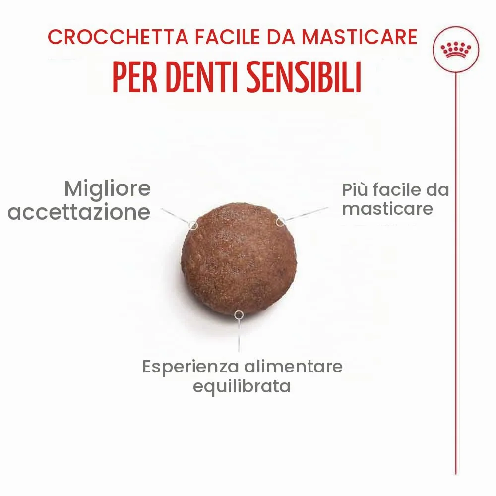 ROYAL CANIN AGEING 15+ | 4 kg | Alimento secco per gatti senior a partire da 15 anni | Formula con il complesso HealthyAge7™ | Contiene crocchette facili da masticare - immagine 4