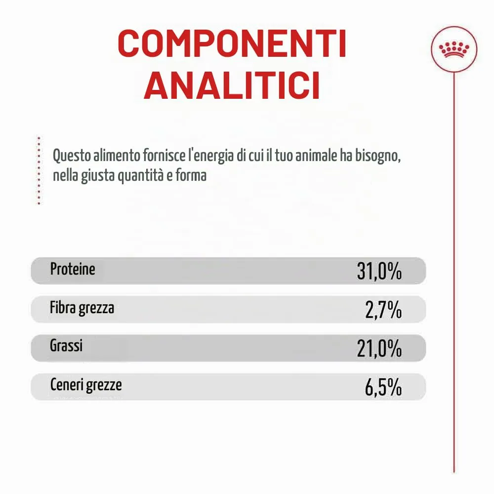 ROYAL CANIN AGEING 15+ | 4 kg | Alimento secco per gatti senior a partire da 15 anni | Formula con il complesso HealthyAge7™ | Contiene crocchette facili da masticare - immagine 7
