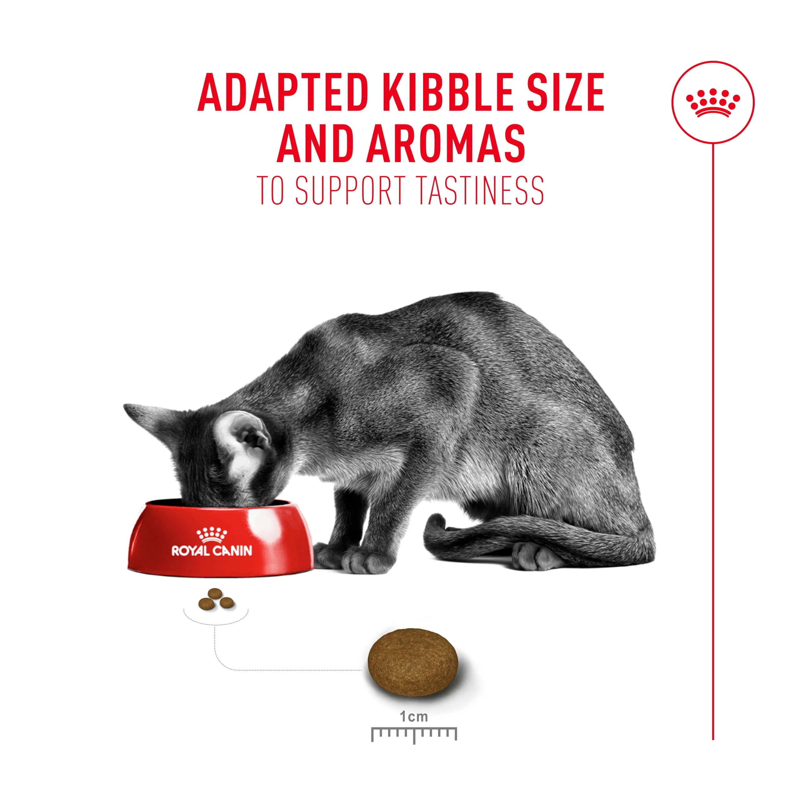 Royal Canin Fussy Exigent - immagine 2