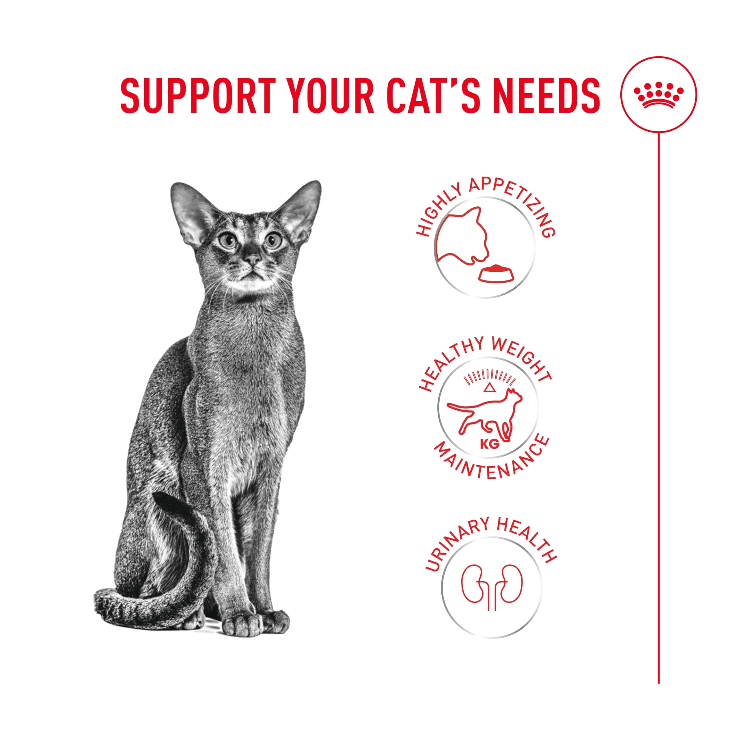 Royal Canin Fussy Exigent - immagine 3