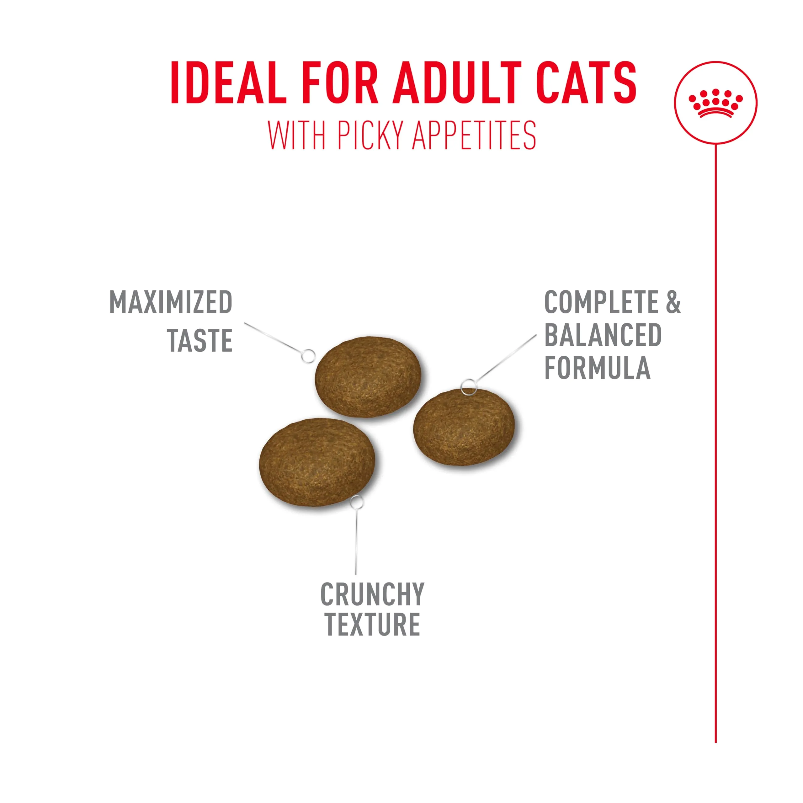 Royal Canin Fussy Exigent - immagine 4