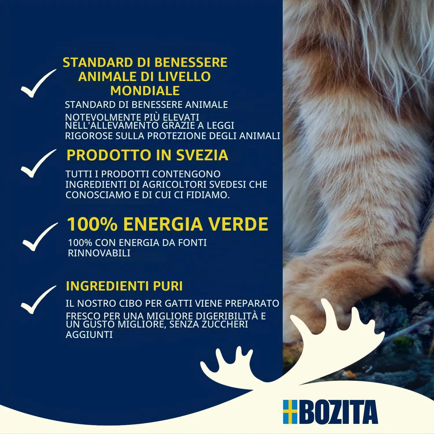 BOZITA Mousse WILD Mix 12 x 85 g – Cibo umido per gatti gourmet in piccole dosi – con postbiotici per sostenere una flora intestinale sana con renna, cervo e cinghiale – Alimento completo - immagine 5