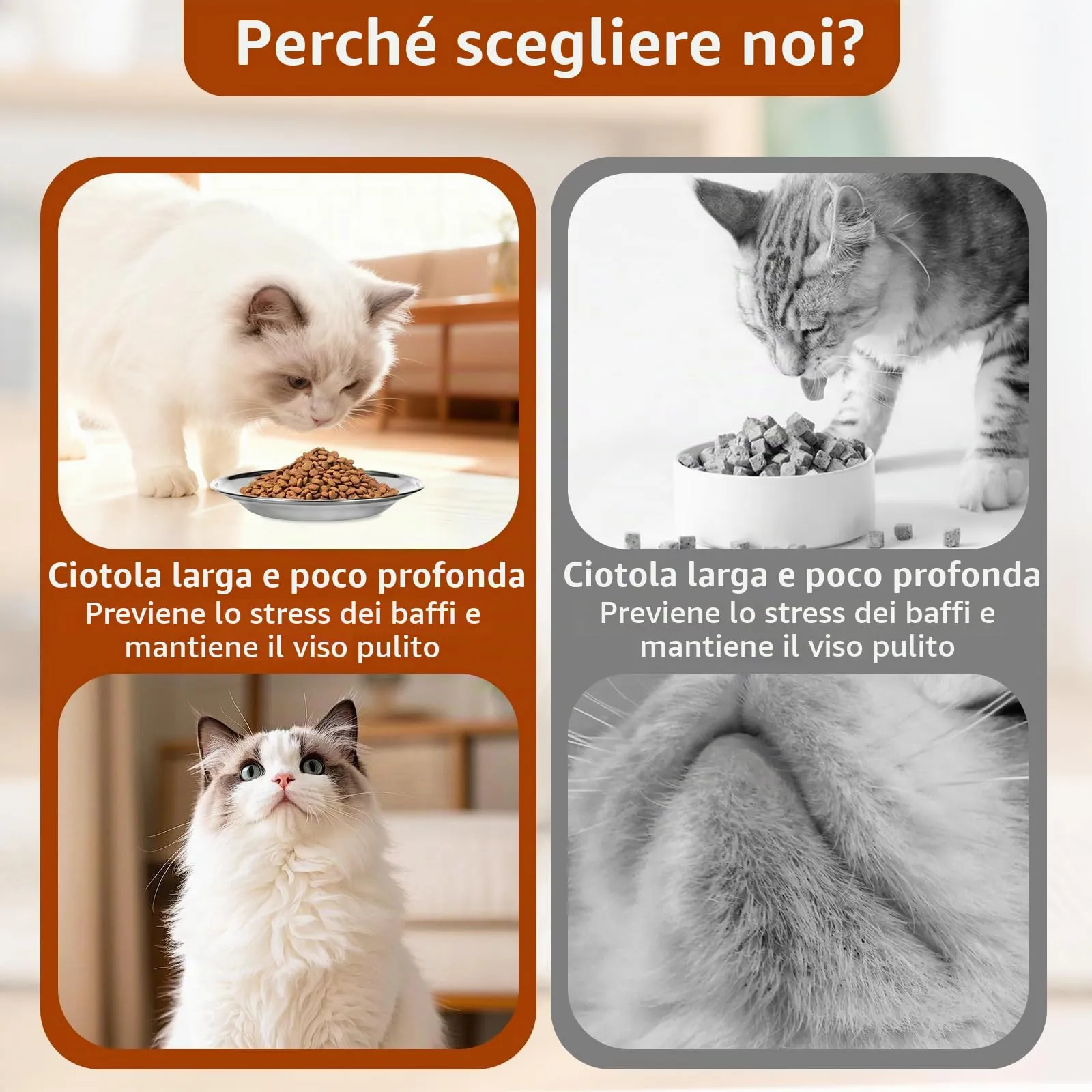 Alitree Ciotole per Gatti in Acciaio Inossidabile,6ciotole piatte per gatti - immagine 5