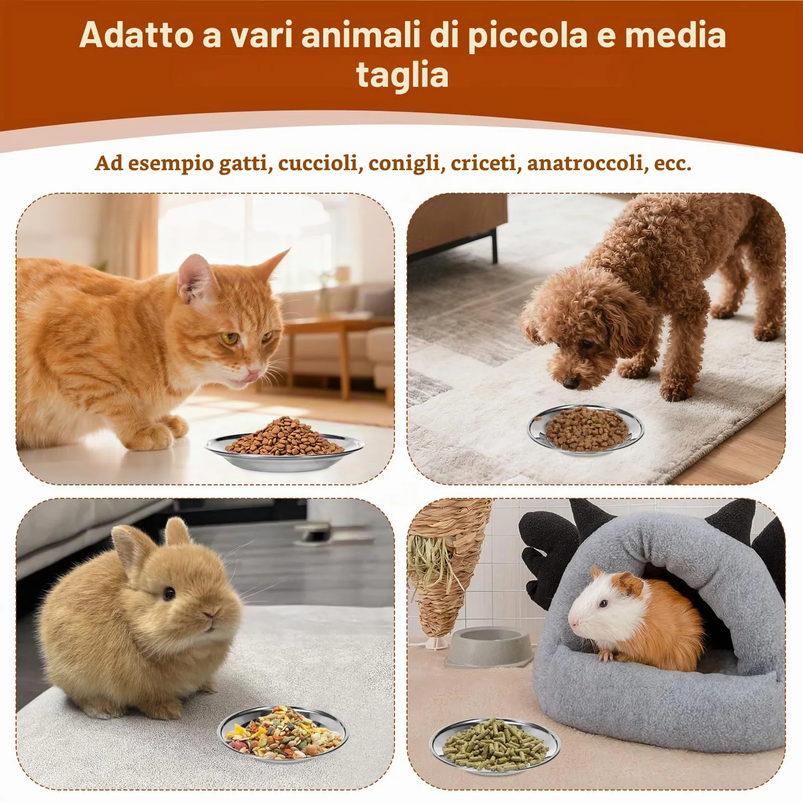 Alitree Ciotole per Gatti in Acciaio Inossidabile,6ciotole piatte per gatti - immagine 7