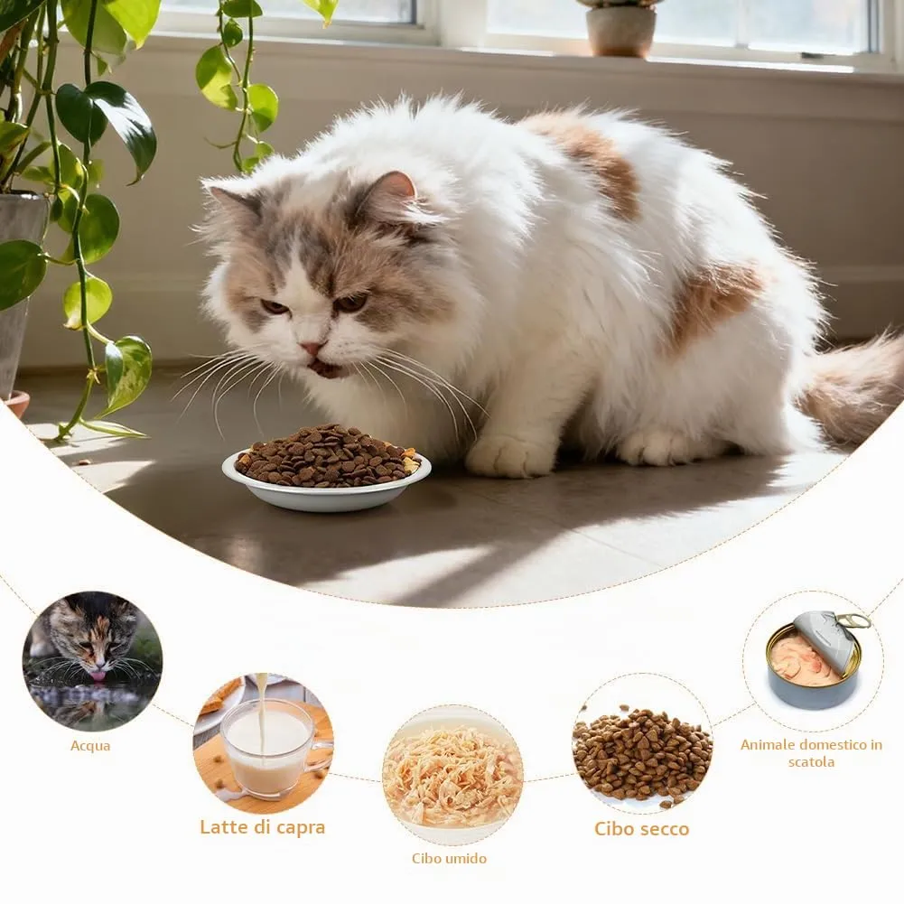 OSDUE 6 pezzi Ciotole per Gatti in Acciaio Inos, 14CM, Lgienica Durevole - immagine 7