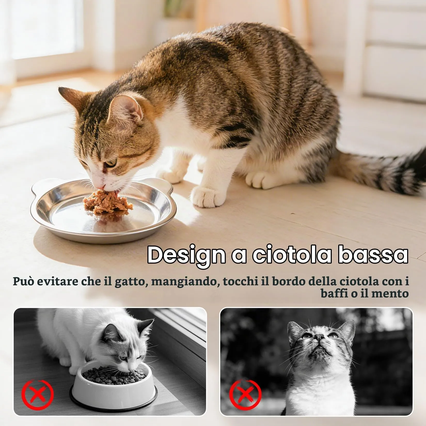 2 Pz Ciotole per Gatti in Acciaio Inox, Ciotole Piatte per Gatti, Ciotola per Bere Antiscivolo, Ciotola per Cibo per Gattis, cibo umido e secco per gattis - immagine 4
