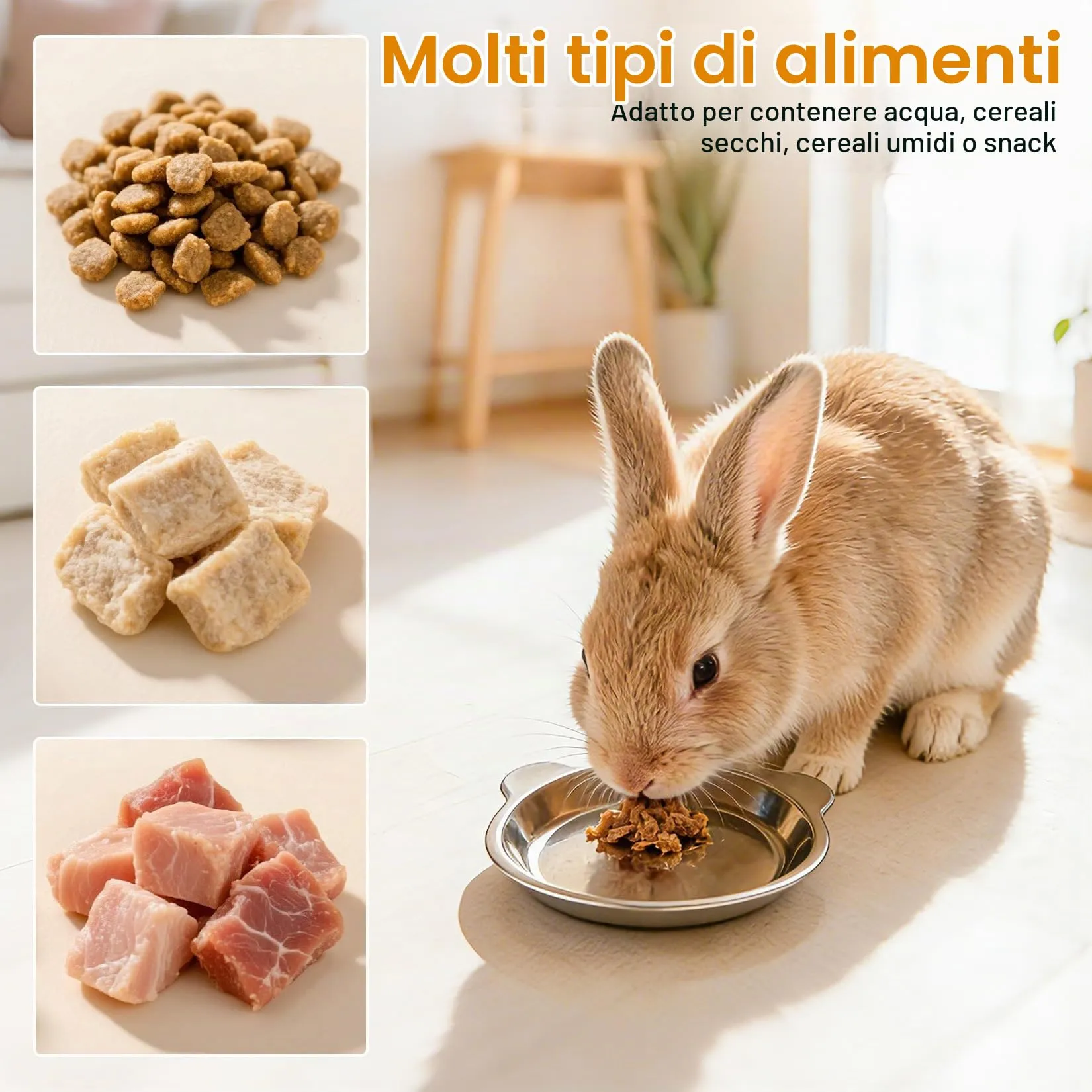 2 Pz Ciotole per Gatti in Acciaio Inox, Ciotole Piatte per Gatti, Ciotola per Bere Antiscivolo, Ciotola per Cibo per Gattis, cibo umido e secco per gattis - immagine 5