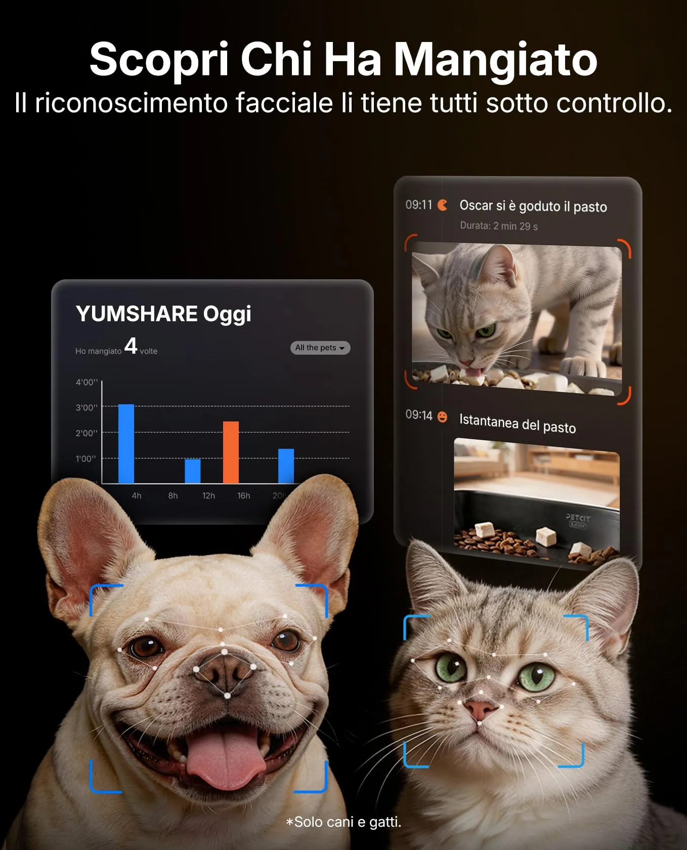 PETKIT YumShare Dual-Hopper 2, Distributore Automatico di Cibo per Gatti e Cani con Telecamera HD 1080p, Riconoscimento Multiplo Gatti, Funzioni AI, Capacità 5L, Wi-Fi 2.4 GHz e 5 GHz - immagine 4