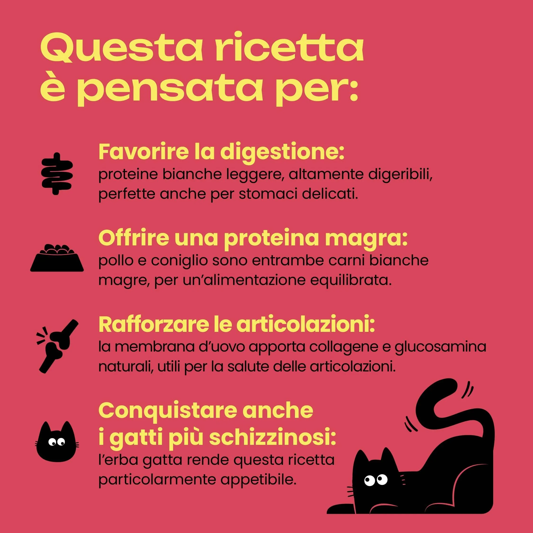 Cat Heroes Cibo Umido per Gatti Mix 4 Gusti (70% carne) 24x95g - immagine 7