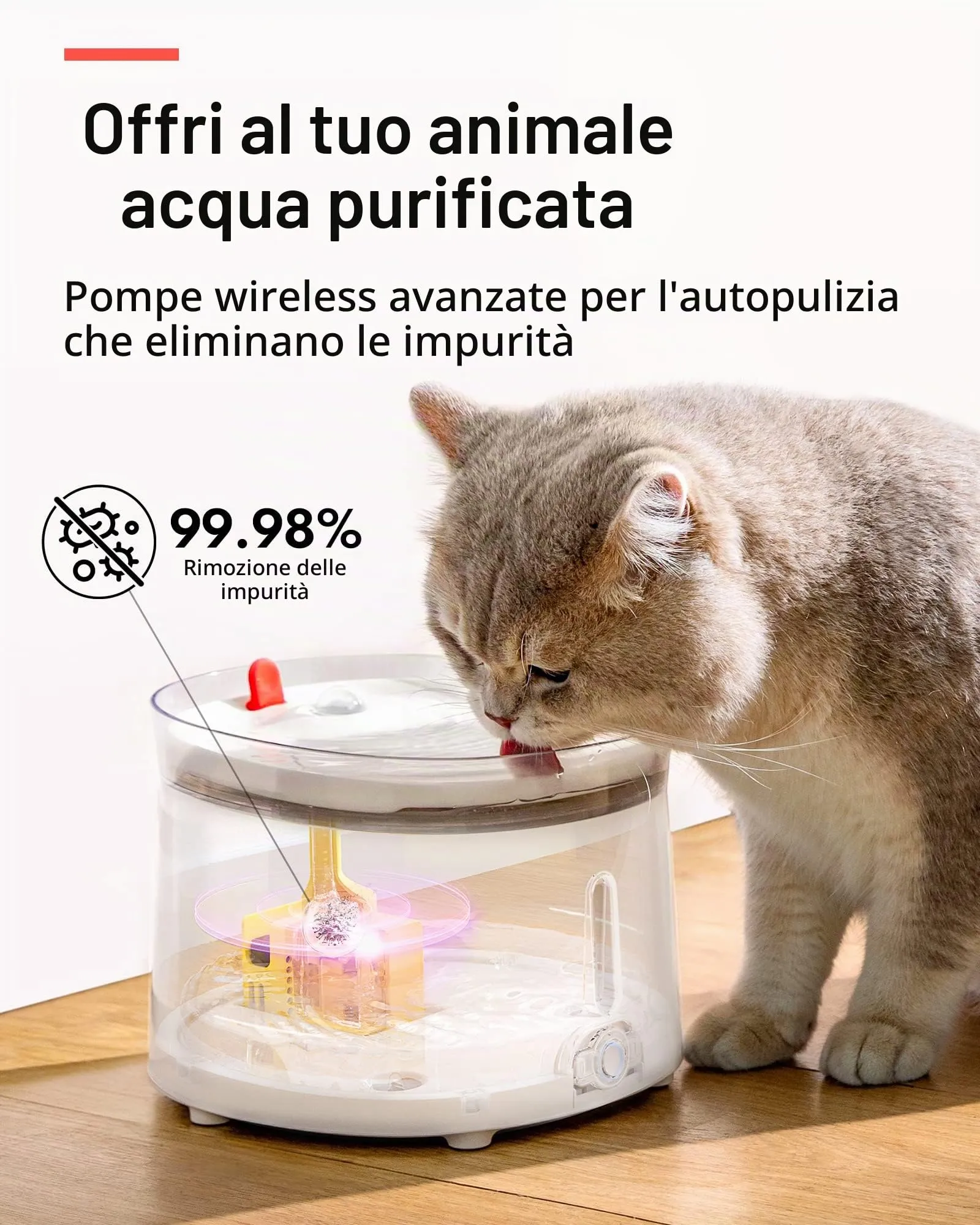 Homerunpet Fontanella per Gatti con Vassoio in Porcellana e Pompa Autopulente Senza Fili, Ultra Silenziosa Fontana per gatti e Cani, Facile da Pulire e da Montare, Luce LED Intelligente, 2L - immagine 3