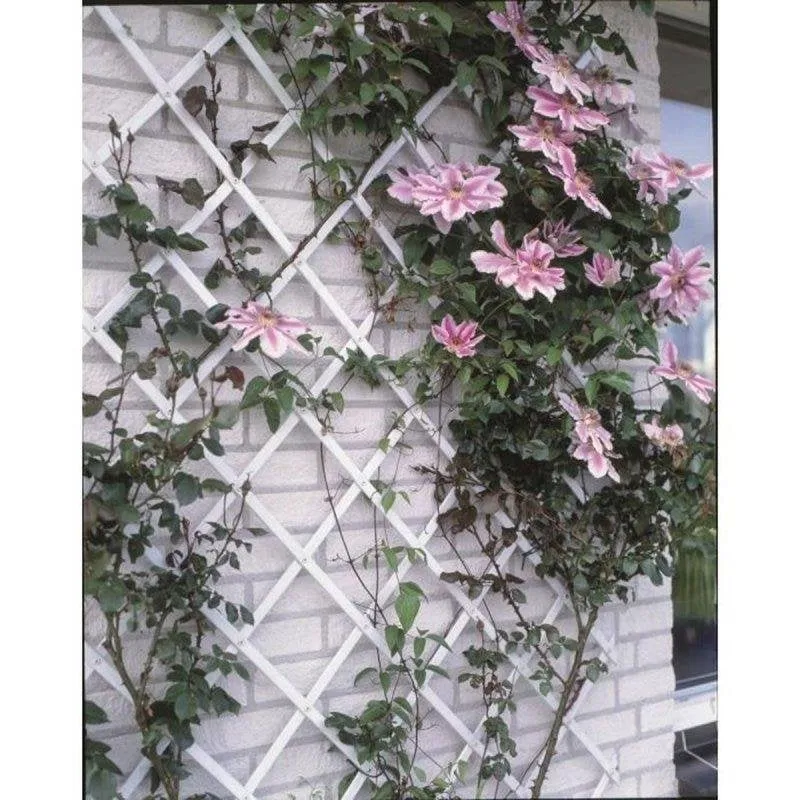 Trellis Nature Espandibile Bianca Plastica 50 x 150 cm Kit Fissaggio - immagine 1