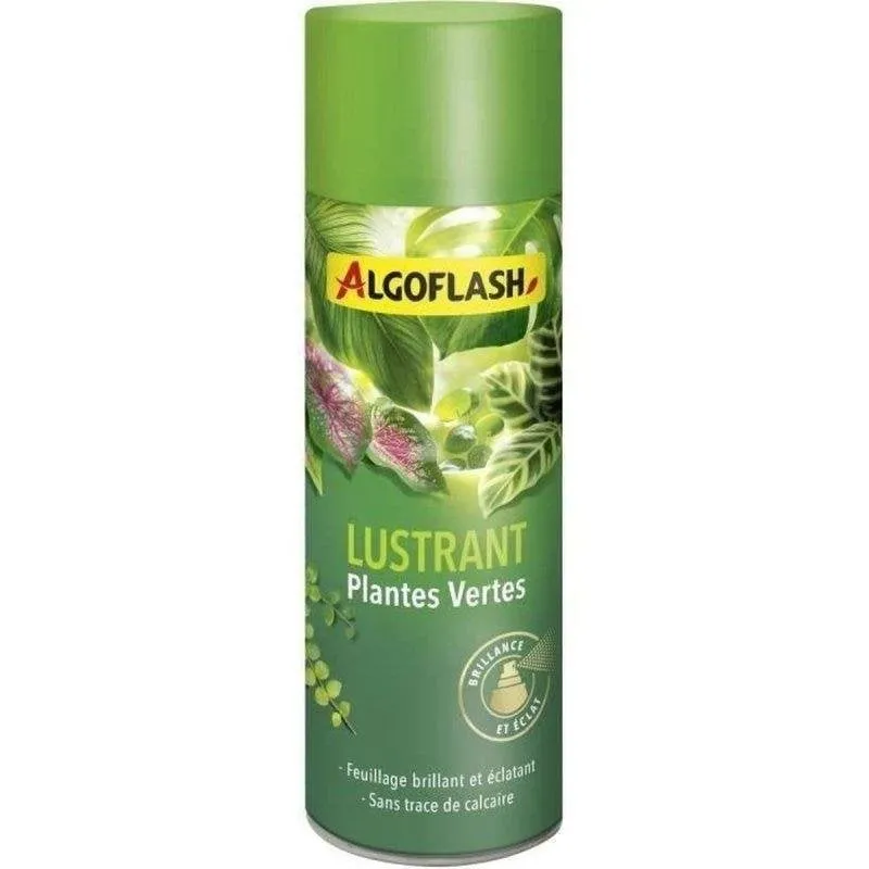 Spray Lucidante e Detergente Algoflash 250 ml per Piante Verdi da Interno - immagine 1