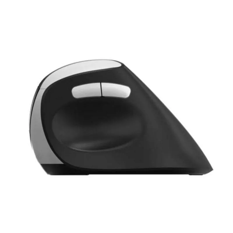 Mouse Rapoo EV250 RF wireless 1600 DPI Nero Argento destro - immagine 1