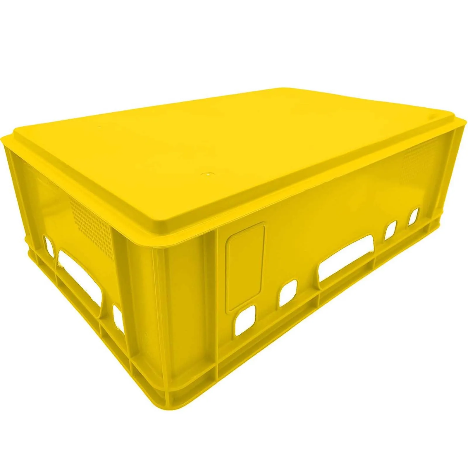 BURI 1 Cassetta per carne E2 gialla 60 x 40 x 20 cm Cassetta di stoccaggio, scatola per mais, scatola per salumiere, cassetta Eurobox, fabbricata in Germania, adatta per uso alimentare, robusta - immagine 3