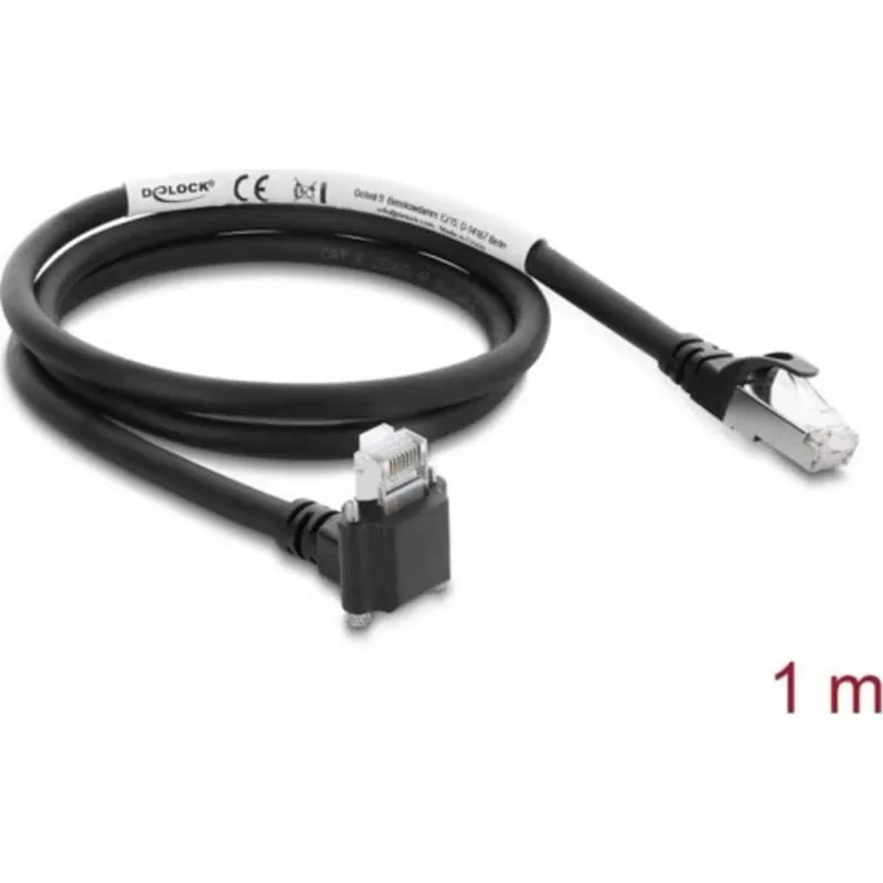 Webcam Delock RJ45 rete cablata - immagine 1