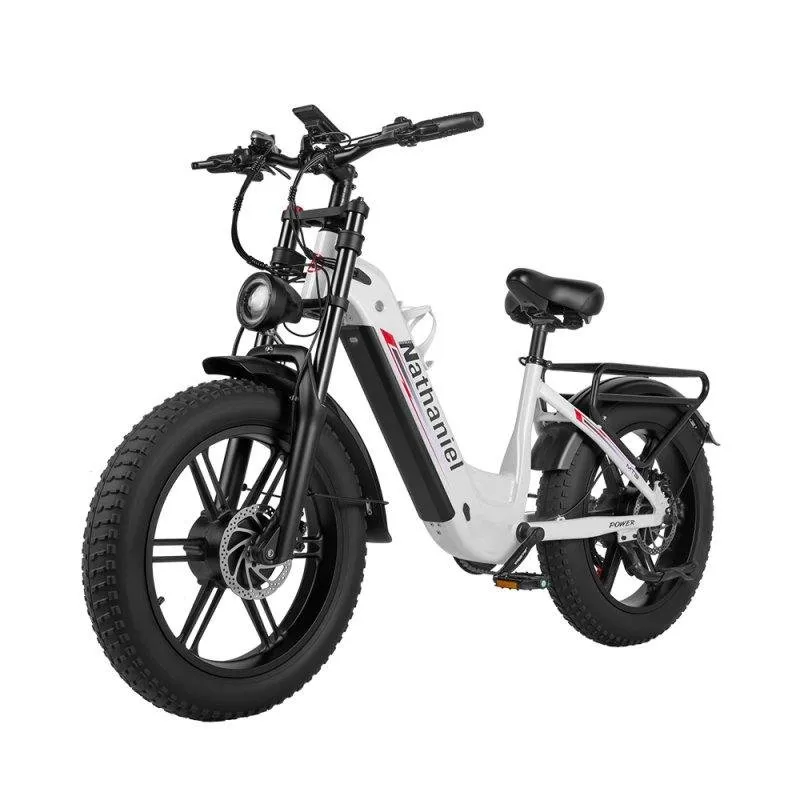 Bicicletta elettrica Nathaniel SYR08 doppio motore 2000W 48V 20Ah fuoristrada - immagine 1